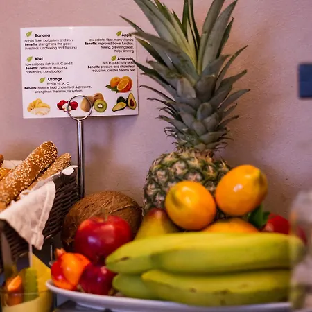 Chrisalena 别墅 纳夫普利翁