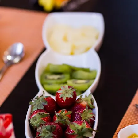 Chrisalena 纳夫普利翁