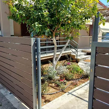 Chrisalena 纳夫普利翁